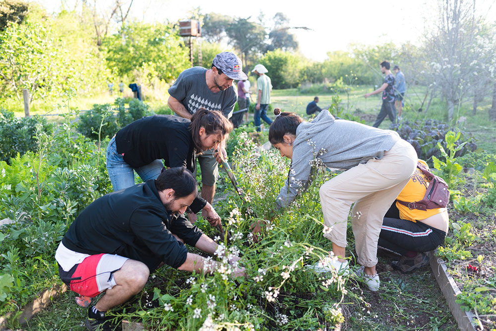 Comunidad Germinar