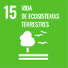 ODS 15 Ecosistemas Terrestres