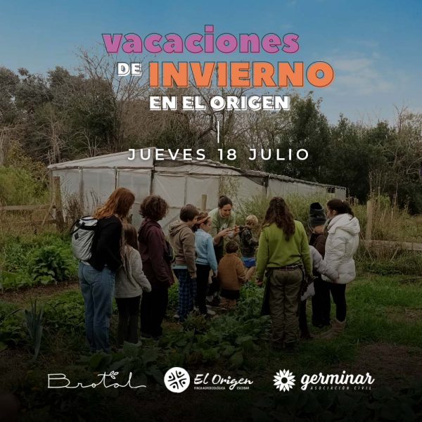 Vacaciones de Invierno en el Origen