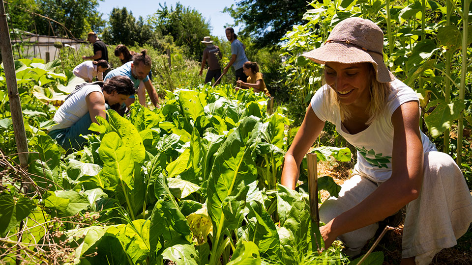 Huerta Agroecológica