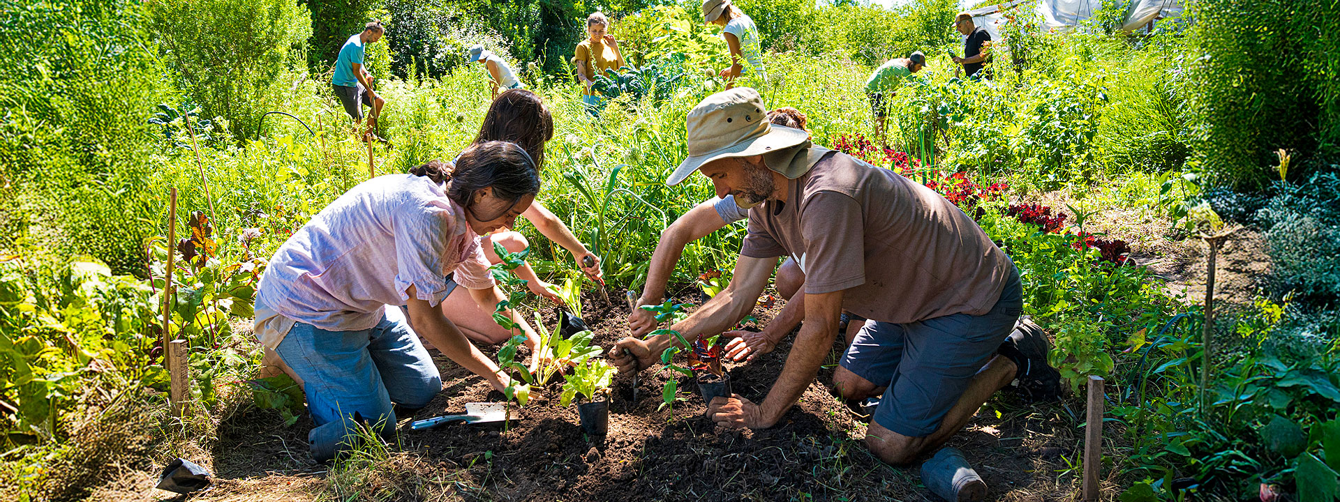 Voluntariado Germinar ONG