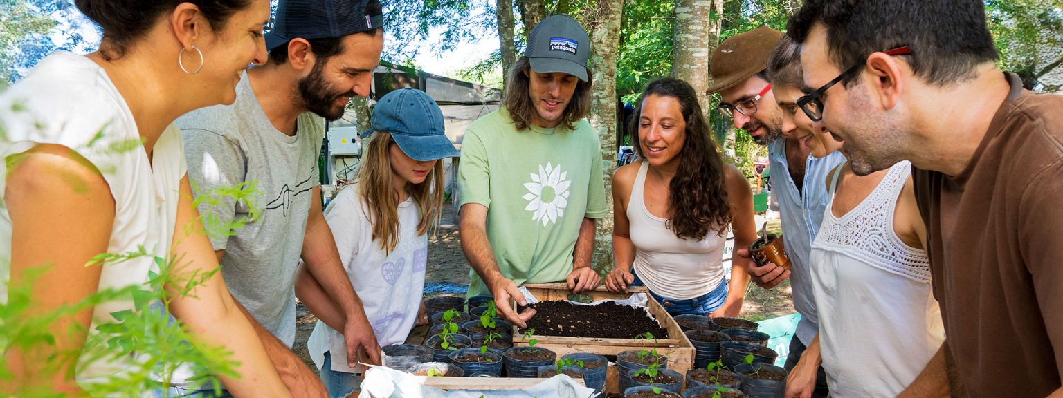 Voluntariado Germinar ONG