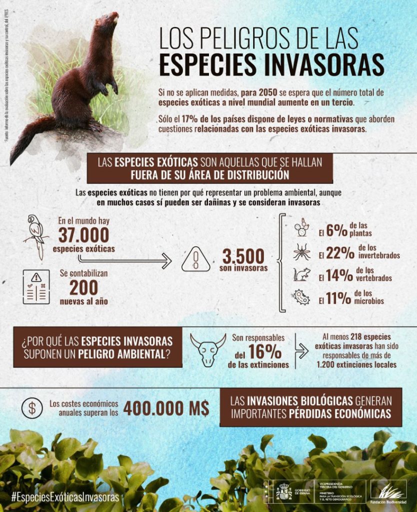 Infografía sobre especies exóticas invasoras