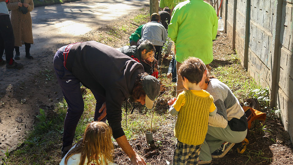 Biocorredores urbanos