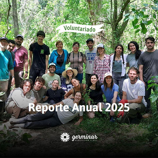Voluntariado 2025
