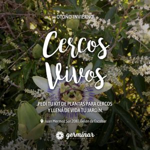 Kit de plantas nativas para cercos vivos.